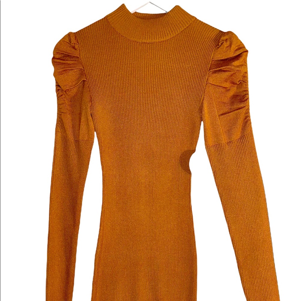 Bronze Long sleeve dress.